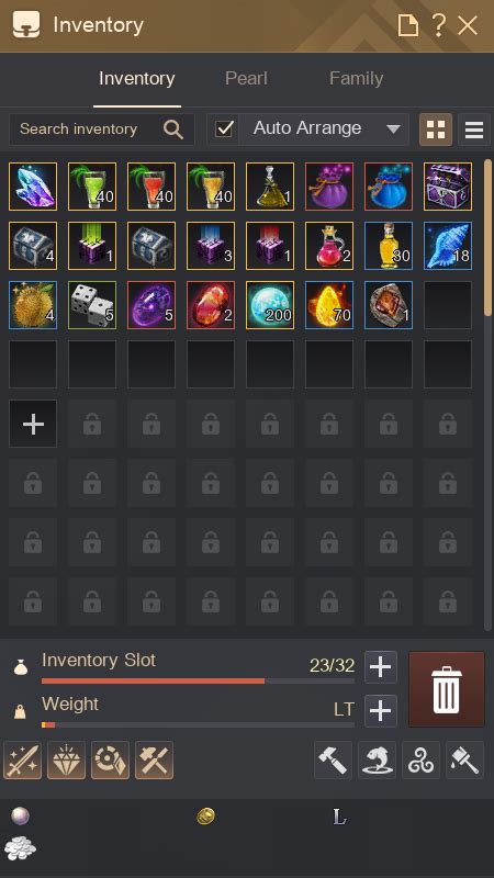 bdo newbie inventory|Items to Store (New Player) Guide .